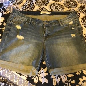 Torrid shorts
